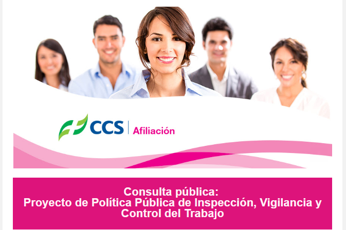 Consulta Pública