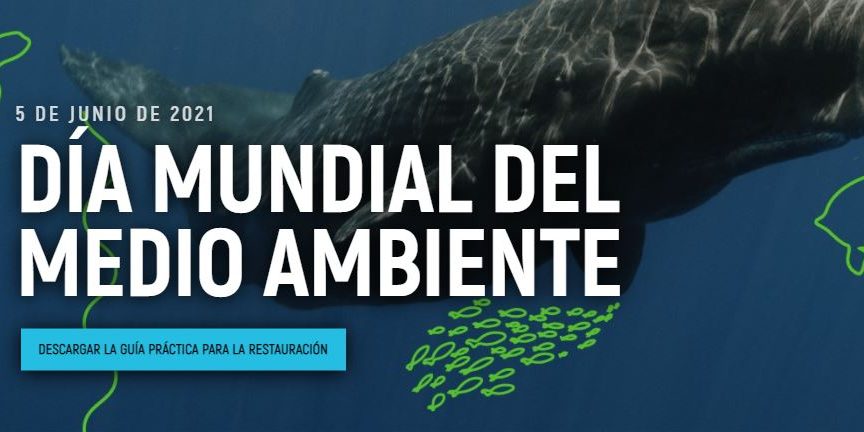 Dia Mundial del medio ambiente